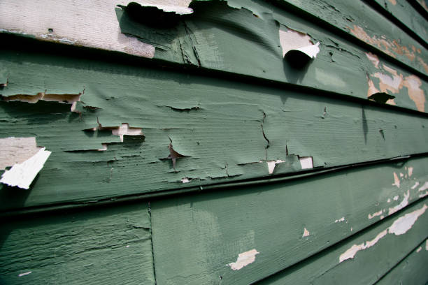 Best Moving and Downsizing Cleanouts  in Ottawa, IL