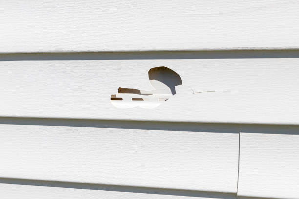Shed Removal in Ottawa, IL